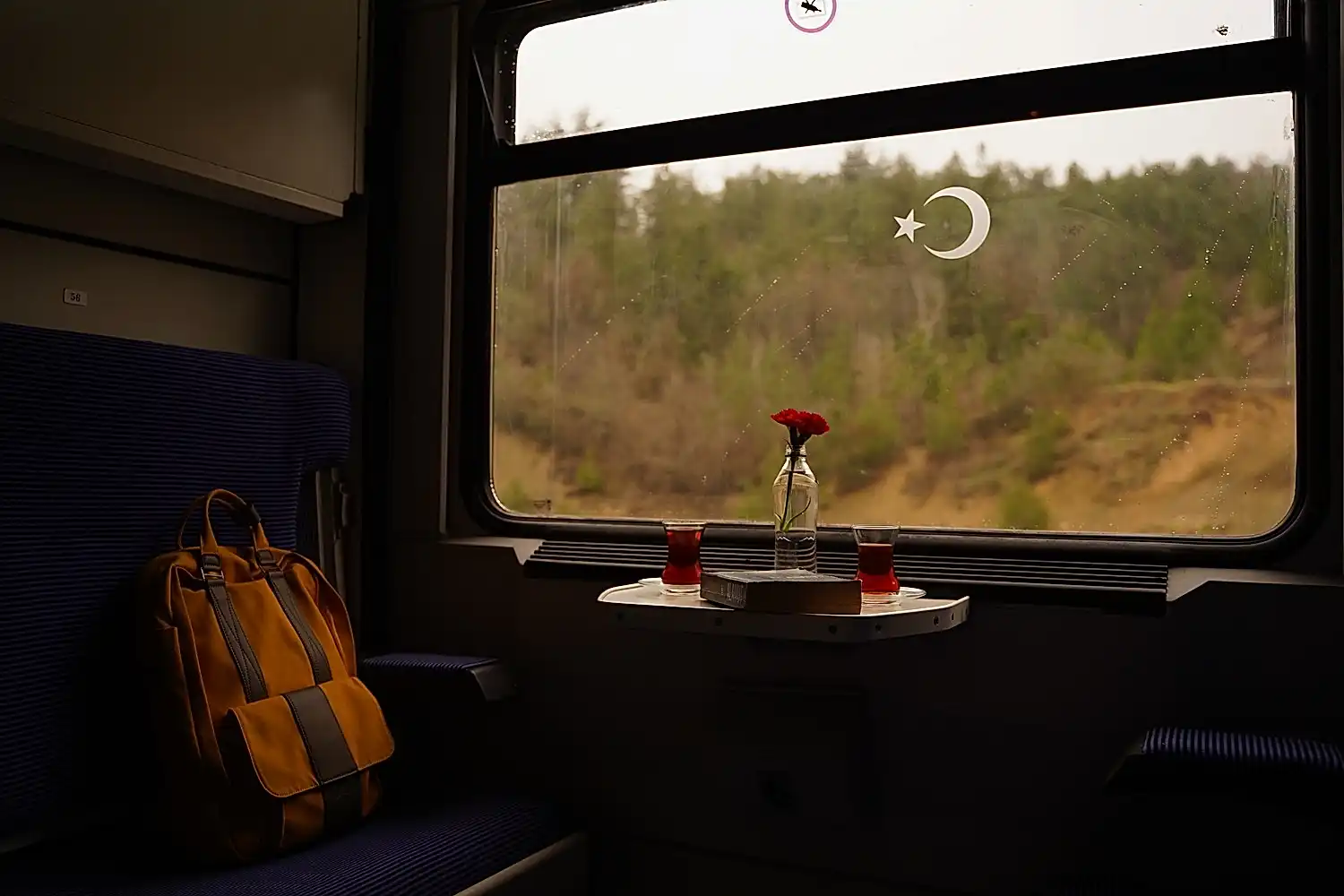 Turistik Karaelmas Ekspresi Turu