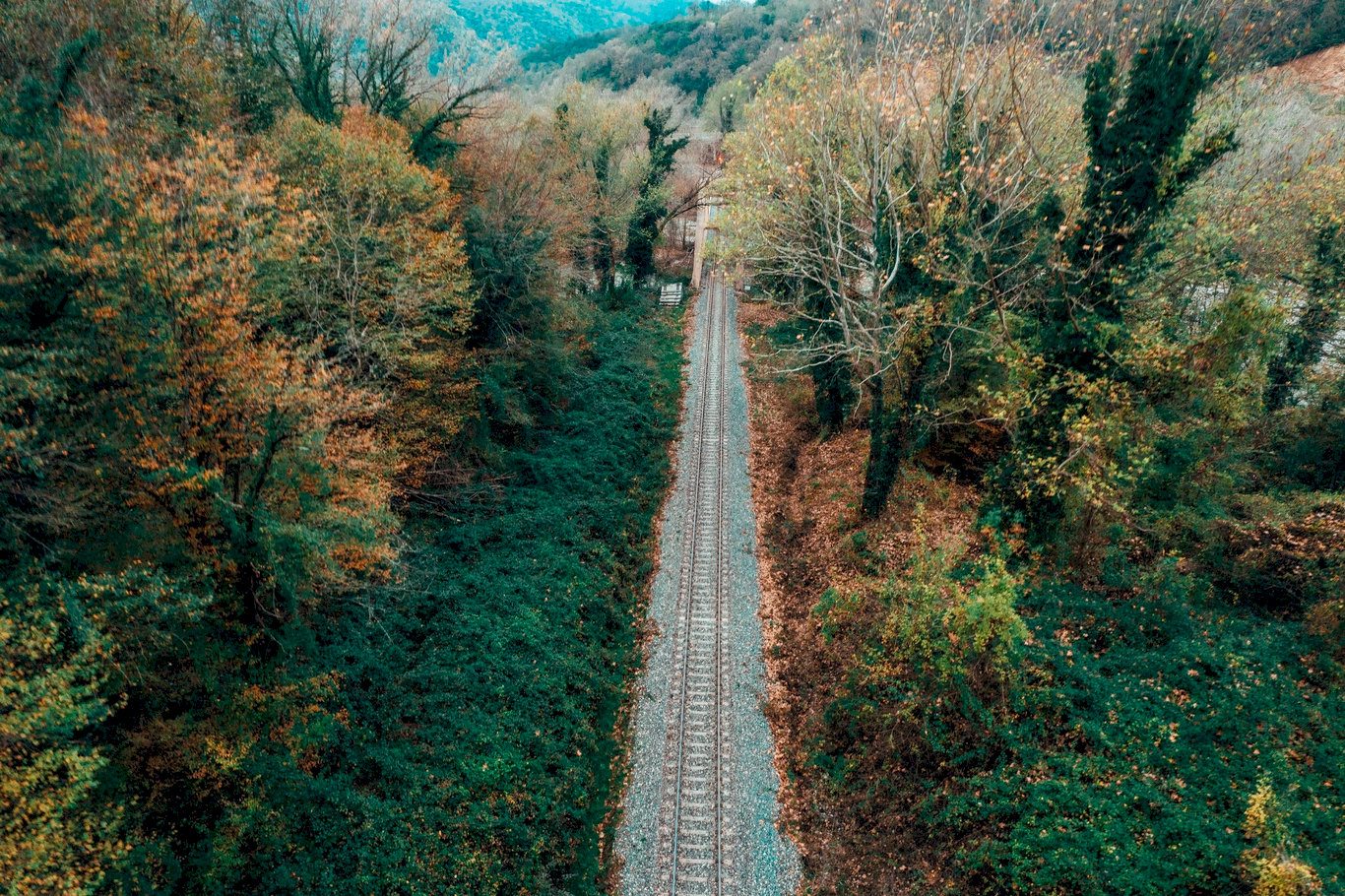 Turistik Karaelmas Ekspresi Turu