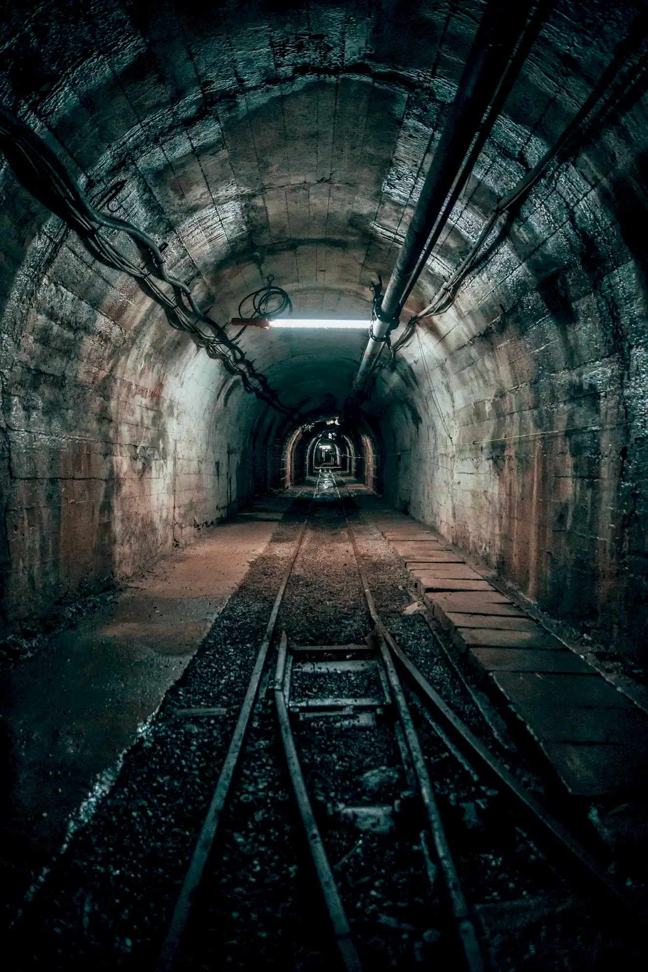 Turistik Karaelmas Ekspresi Turu