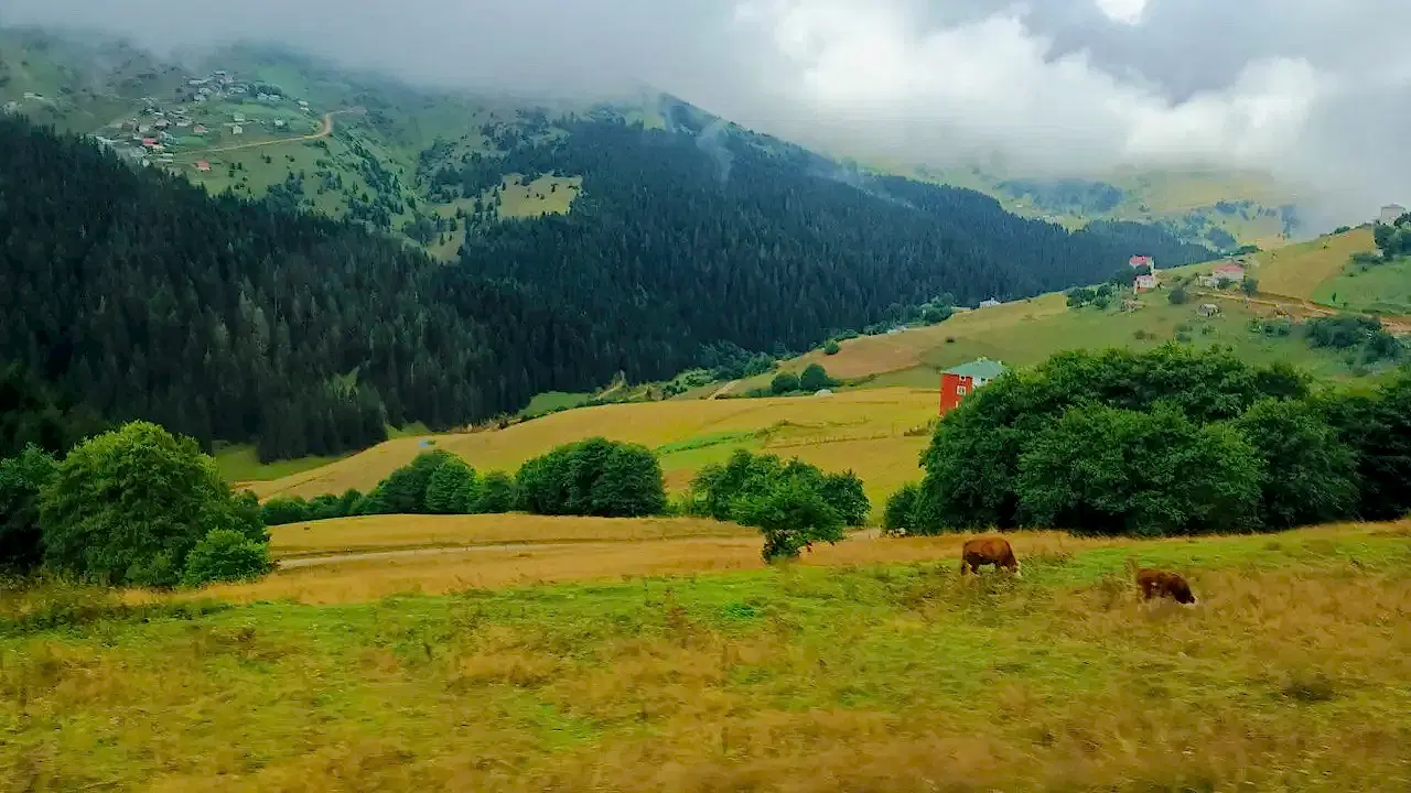 Doğu Karadeniz & Batum Turu