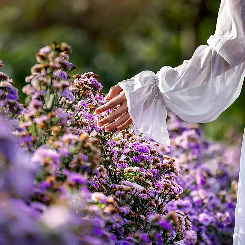 Isparta Lavanta Bahçeleri - Yazılı Kanyon ve Kovada Gölü Turu