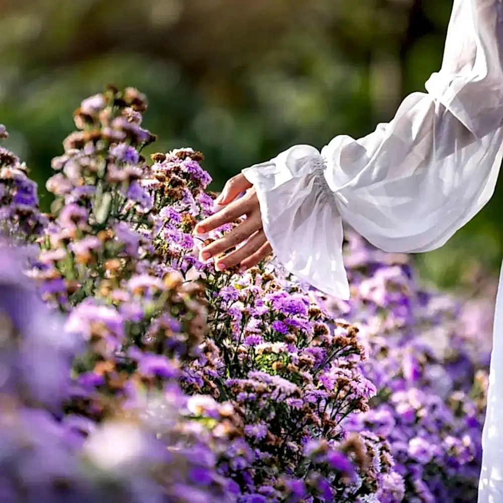 Isparta Lavanta Bahçeleri - Yazılı Kanyon ve Kovada Gölü Turu