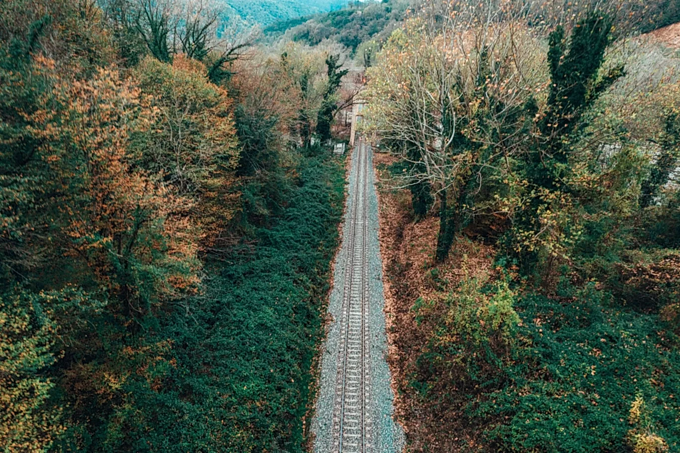 Turistik Karaelmas Ekspresi Turu