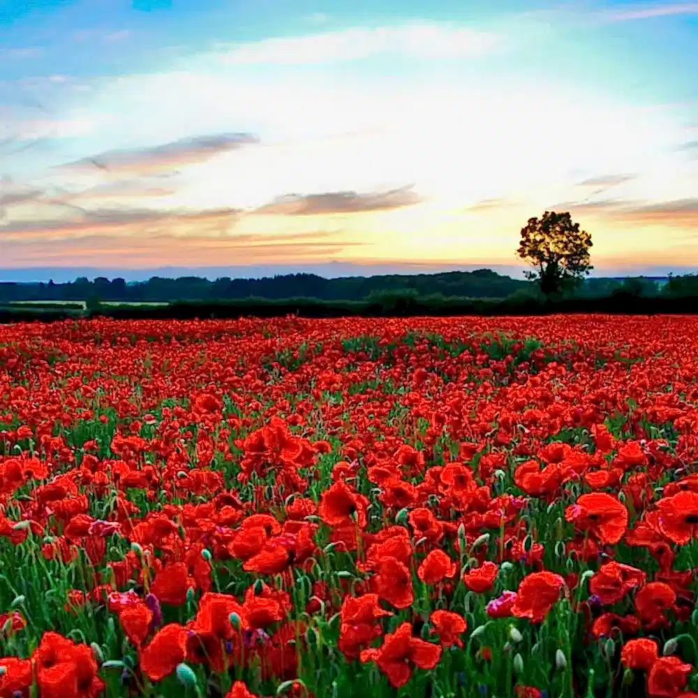 Yazılı Kanyon - Kovada Gölü - Gül Bahçeleri Turu